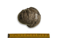 F 02260
<br/>
<br/>
<em></em>